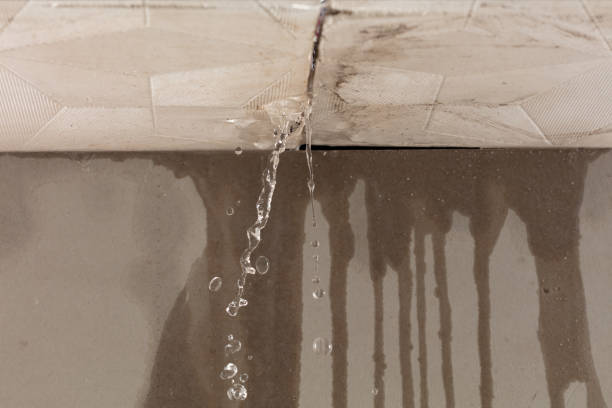 Professional Water Damage Inspection technician working in Holtsville, NY